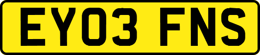 EY03FNS