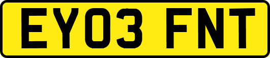 EY03FNT