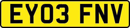 EY03FNV