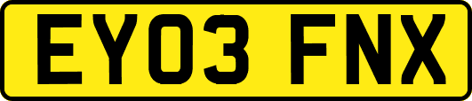 EY03FNX