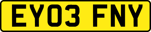 EY03FNY