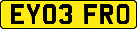 EY03FRO