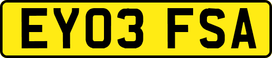 EY03FSA