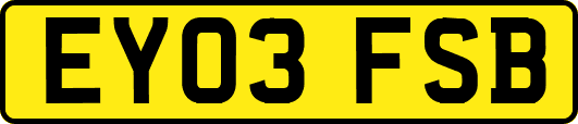 EY03FSB