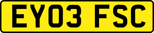 EY03FSC