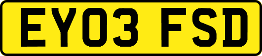 EY03FSD