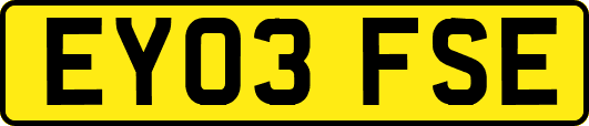EY03FSE
