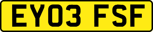 EY03FSF