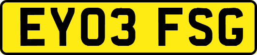 EY03FSG
