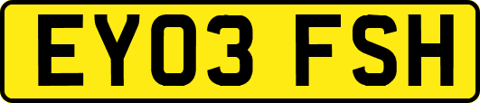 EY03FSH