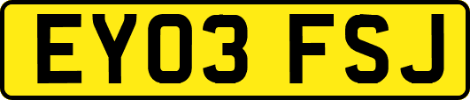 EY03FSJ