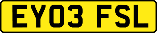 EY03FSL