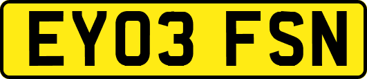 EY03FSN