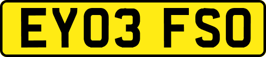 EY03FSO