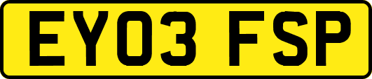 EY03FSP