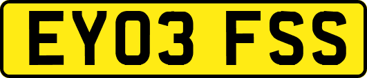 EY03FSS