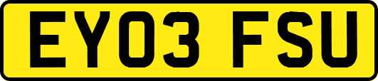 EY03FSU