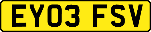 EY03FSV