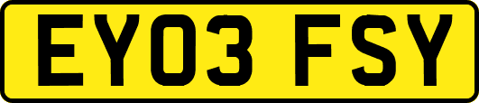 EY03FSY