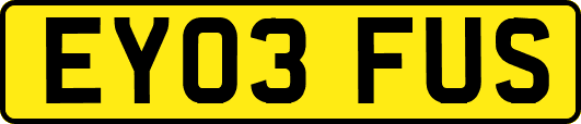 EY03FUS