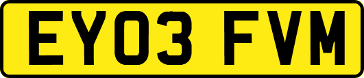EY03FVM