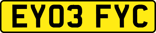 EY03FYC