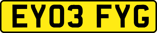 EY03FYG