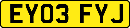 EY03FYJ