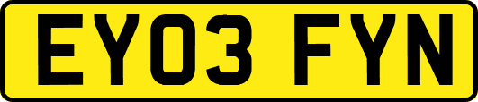 EY03FYN