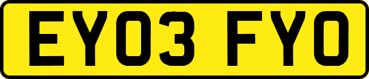 EY03FYO