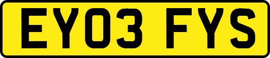 EY03FYS