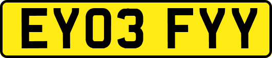 EY03FYY
