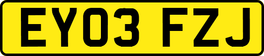 EY03FZJ