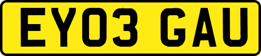 EY03GAU