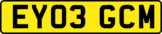 EY03GCM