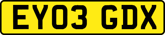 EY03GDX