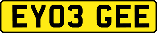 EY03GEE