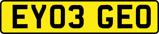 EY03GEO