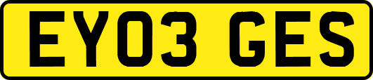 EY03GES
