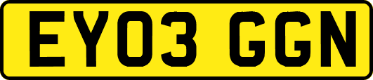 EY03GGN
