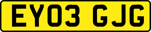 EY03GJG