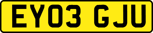 EY03GJU