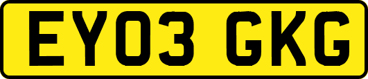 EY03GKG