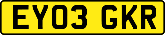 EY03GKR