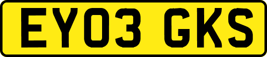 EY03GKS