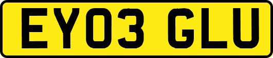 EY03GLU