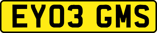 EY03GMS