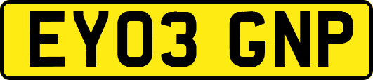 EY03GNP