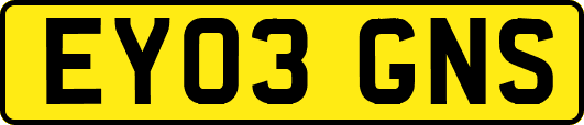 EY03GNS