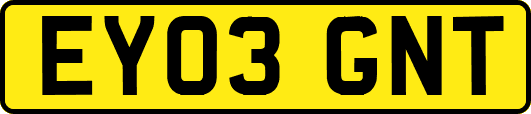 EY03GNT